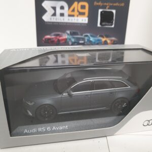 Audi RS6 Avant " gris mat "