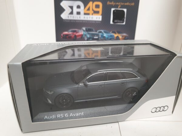 Audi RS6 Avant " gris mat "
