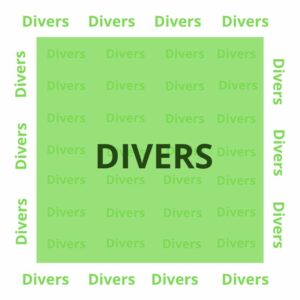 Divers