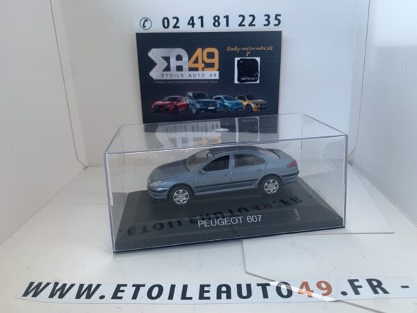 Peugeot 607 bleu